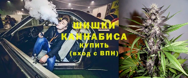 mdpv Белокуриха