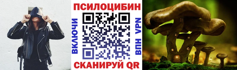 hydra онион  Верея  Псилоцибиновые грибы MAGIC MUSHROOMS  купить наркоту 